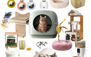 Cat products and supplies for the home including litter box, toys, scratching posts and feeding accessories.