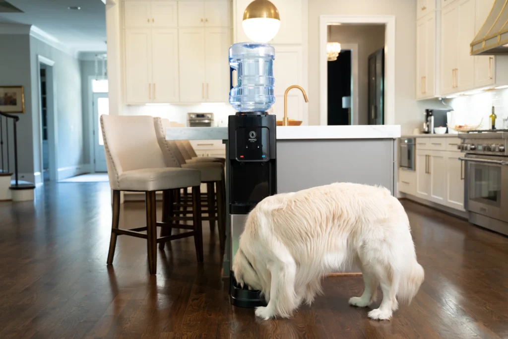 home water dispenser for hydration GLP-1 weight loss experience daily water routine